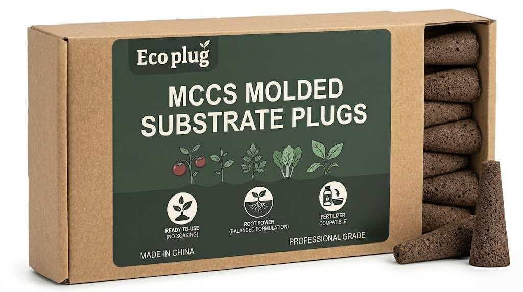 Retail box display with plugs